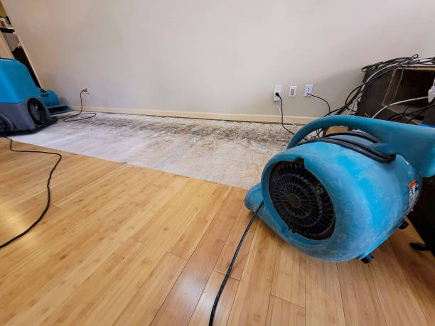 Professional Basement Flood Cleanup technician working in Hopatcong, NJ